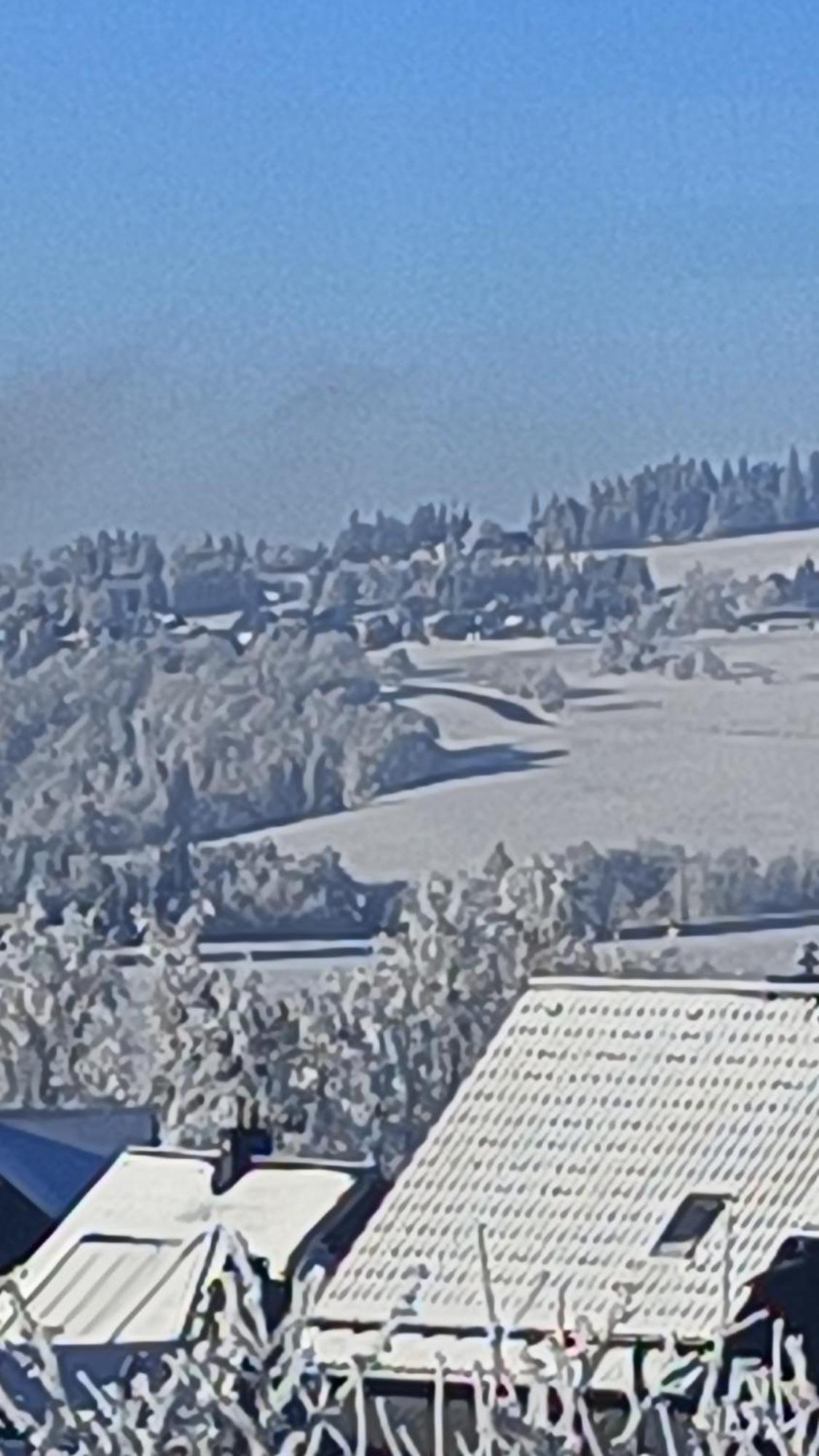 Pension Thueringer Wald Reichmannsdorf Экстерьер фото